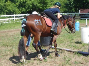 camper on horse